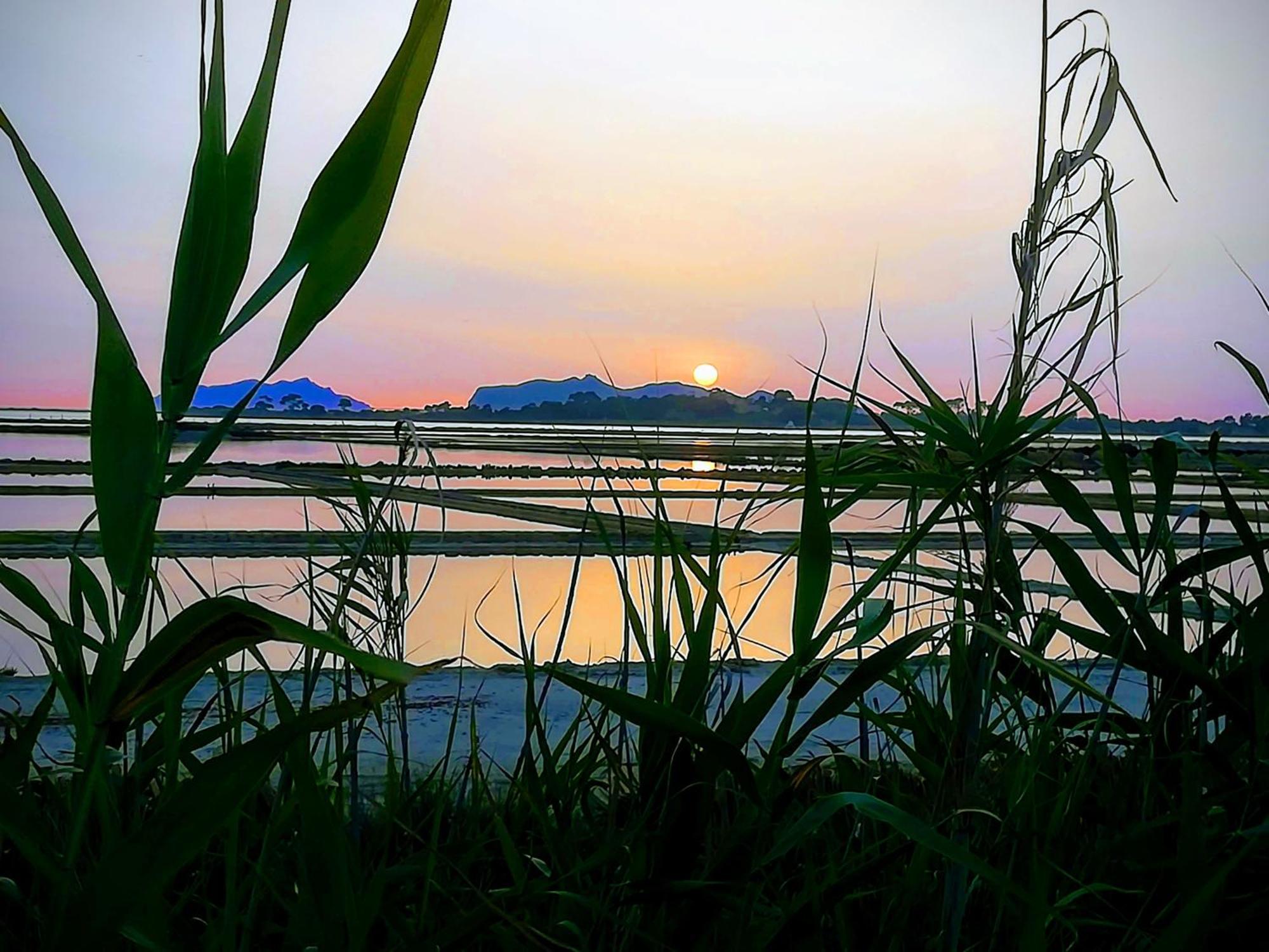 Sunrise Stagnone - Kitesurf Spot Bed and Breakfast Μαρσάλα Εξωτερικό φωτογραφία