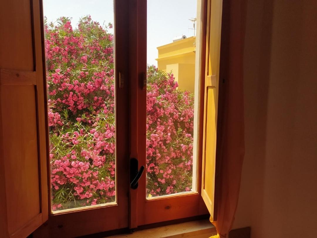 Sunrise Stagnone - Kitesurf Spot Bed and Breakfast Μαρσάλα Δωμάτιο φωτογραφία