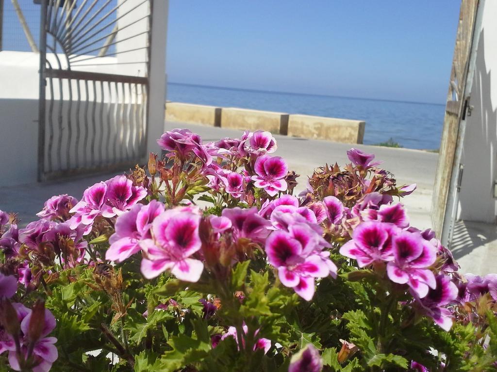 Sunrise Stagnone - Kitesurf Spot Bed and Breakfast Μαρσάλα Δωμάτιο φωτογραφία