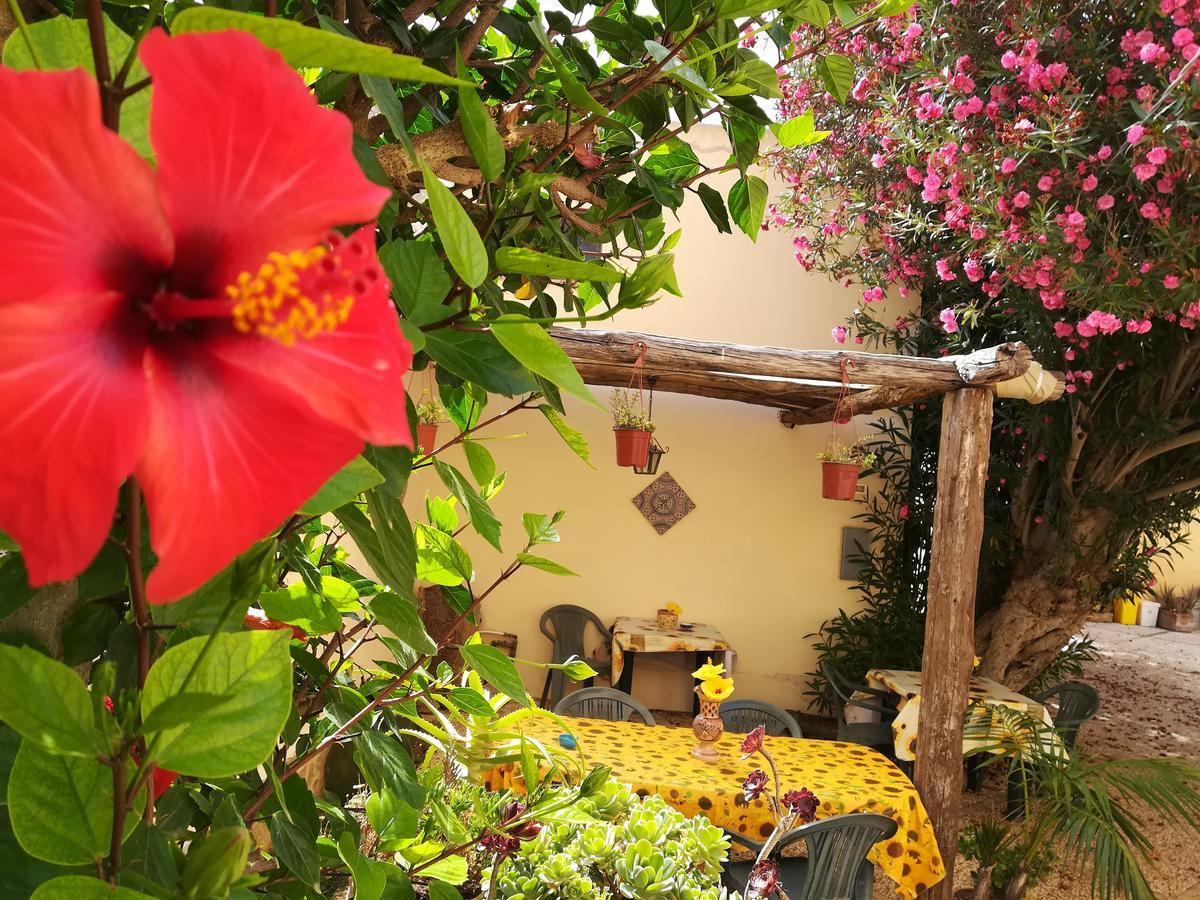 Sunrise Stagnone - Kitesurf Spot Bed and Breakfast Μαρσάλα Εξωτερικό φωτογραφία